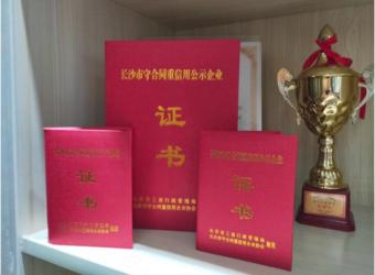 HUNAN DAWNING FILTER SYSTEM TECHNOLOGY CO.,LTD