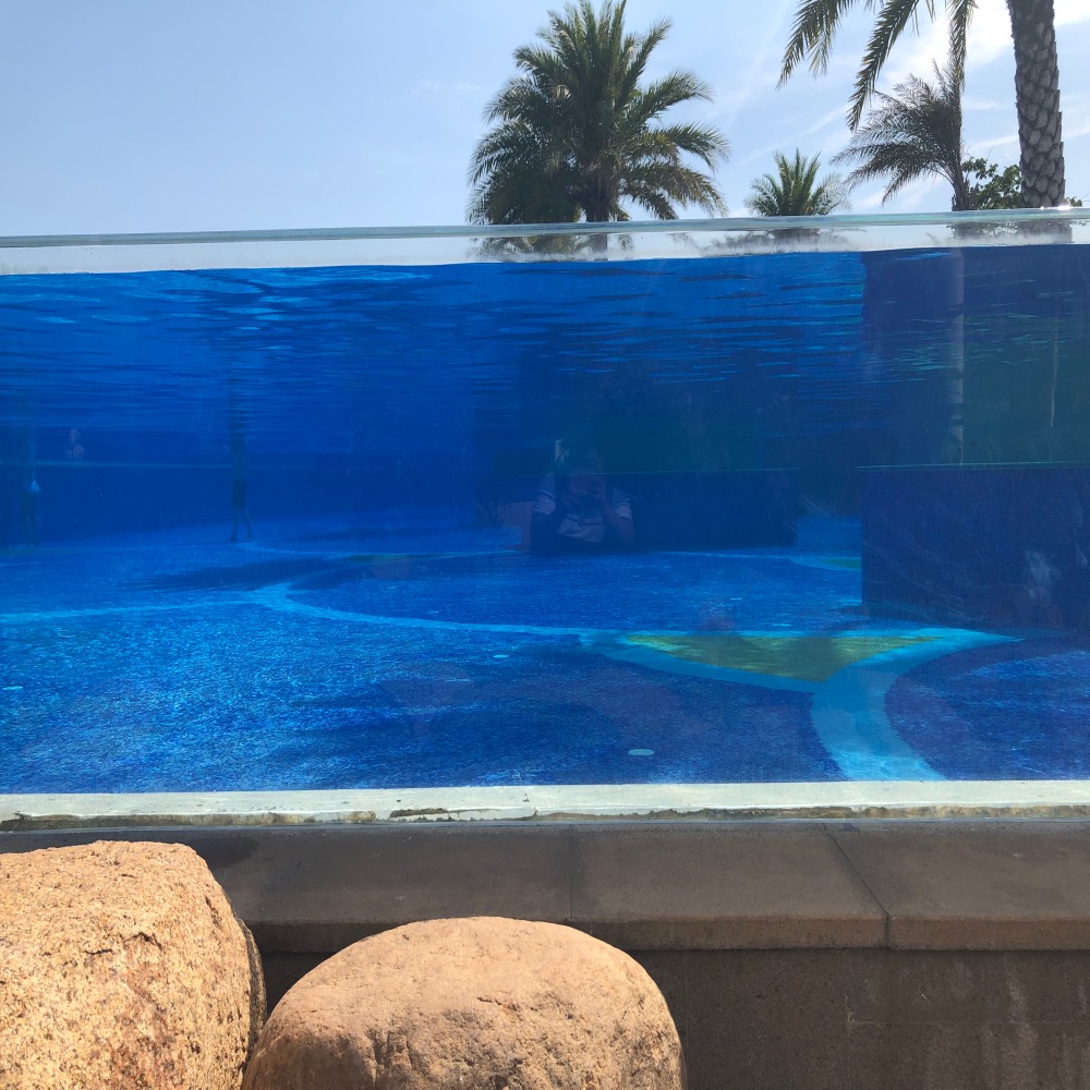 Villa Pool Outdoor Edge to Edge Tempered Fiberglass Pool Glass Swimming Pool Wall