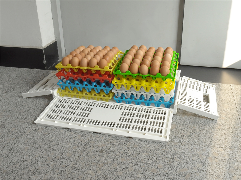 Foldable Mesh Crates and Egg Plastic Boxes for Convenient Egg Transportation