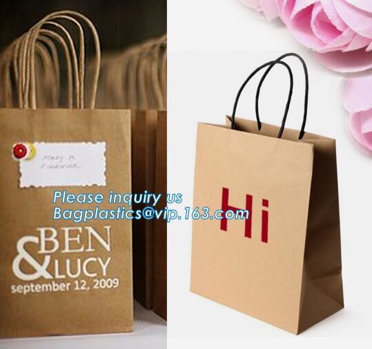 Flower carrier bag with different color customized pot plants kraft paper bag with handle,stamping logo fancy paper flow