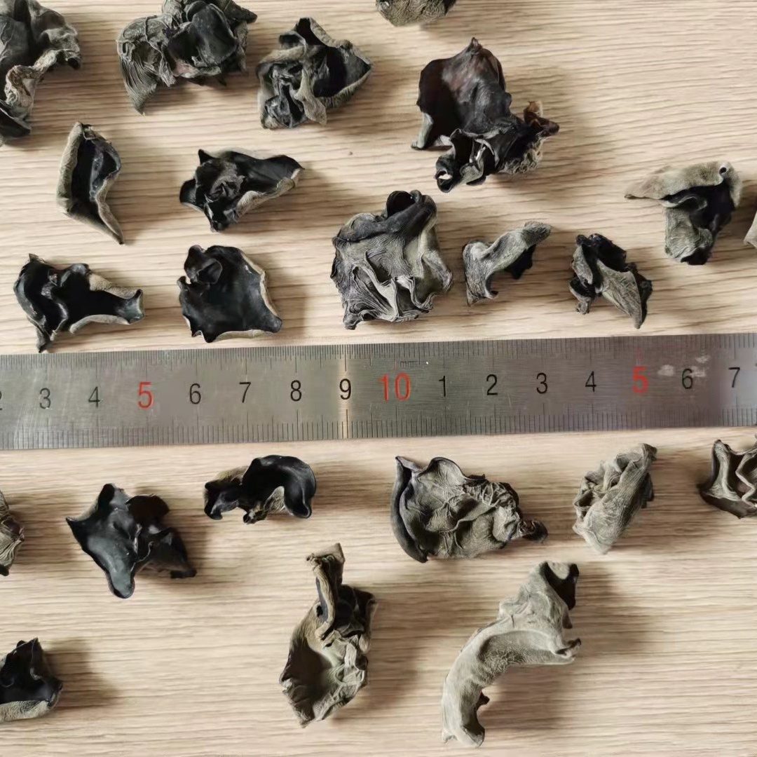 COOL DRIED Storage Type Cultivated Dried Black Fungus for Traditional Chinese Medicin