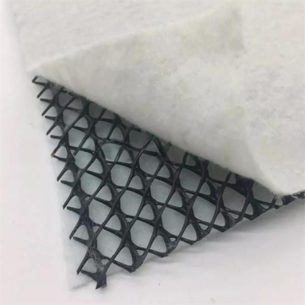 CE/ISO9001/ISO14001 Certified 3D Drainage Net Road Base Geonet for Stable