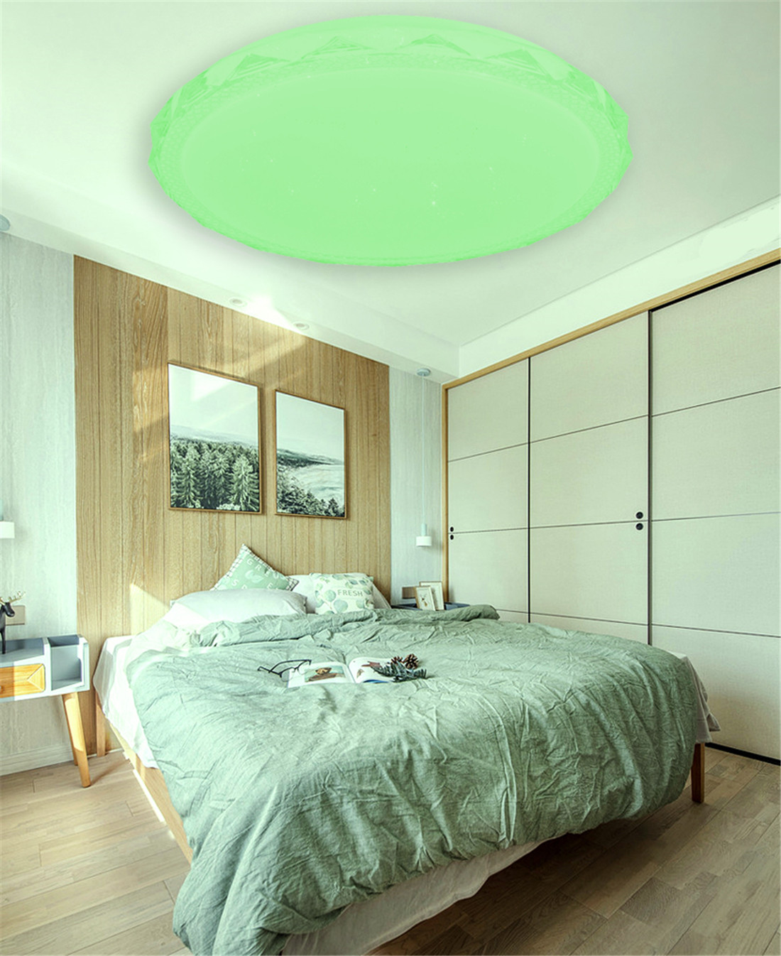 Gessiea LED Ceiling Lamp 36W