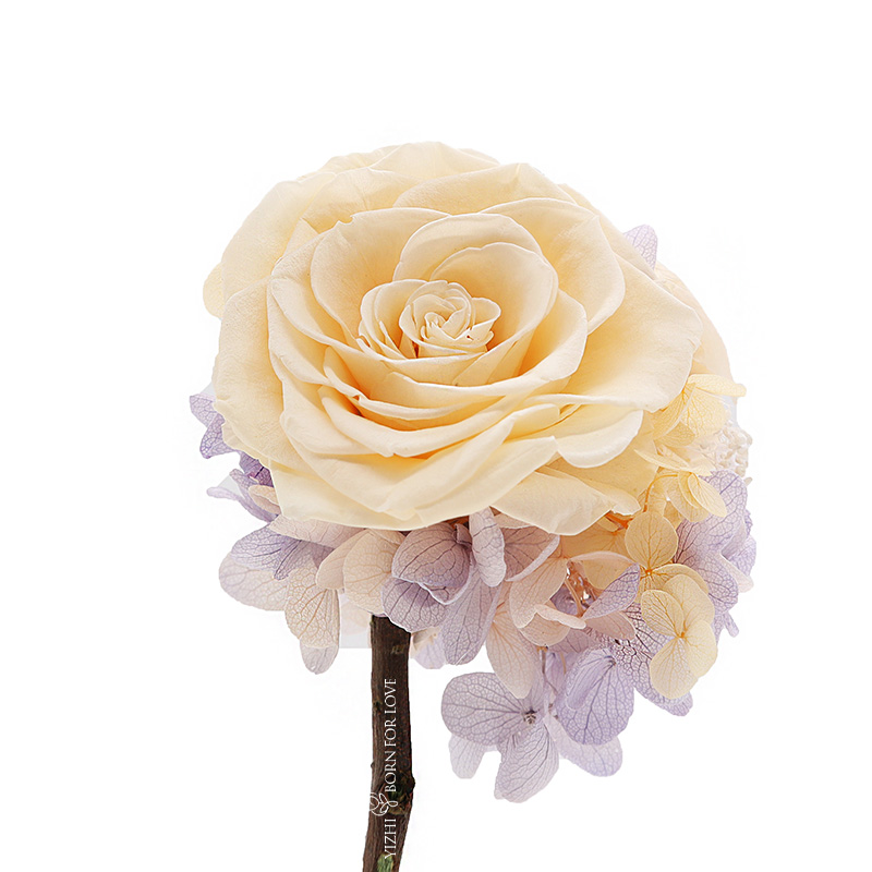 Upscale Dia7-8CM Preserved Rose Glass Dome For Home Decoration