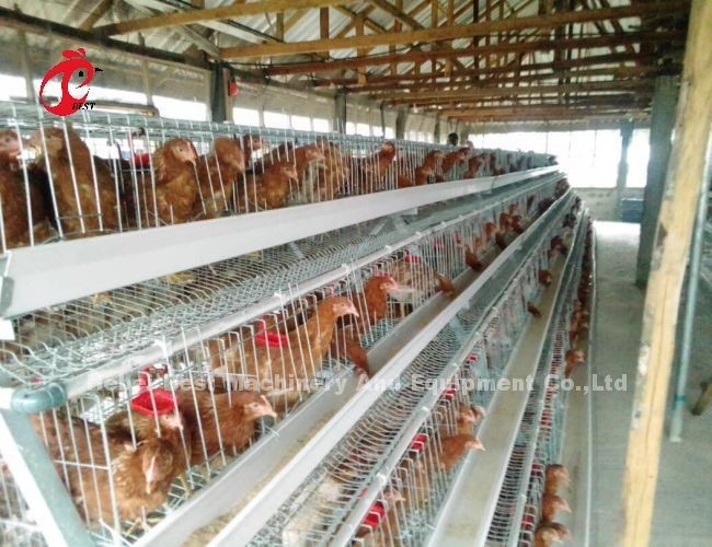 A Type 4 Tiers Silver Galvanized Layer Battery Cage System Adela