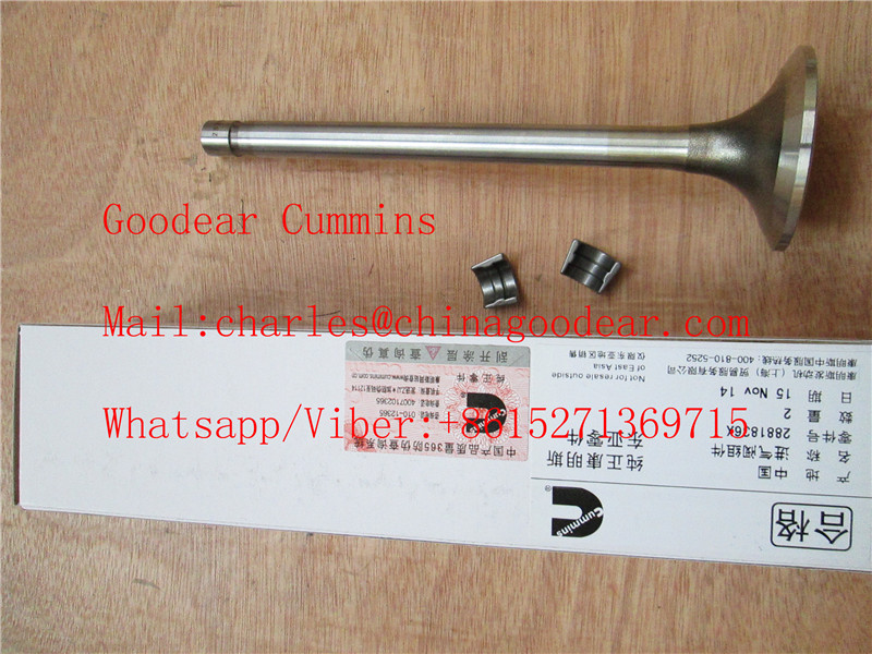 Chongqing k38/k50 diesel engine intake valve 2881836