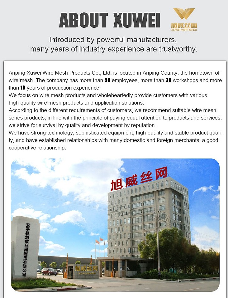 Thickness 1/3mm 304/ 316 Stainless Steel Perforated Metal Sheet for Decoration