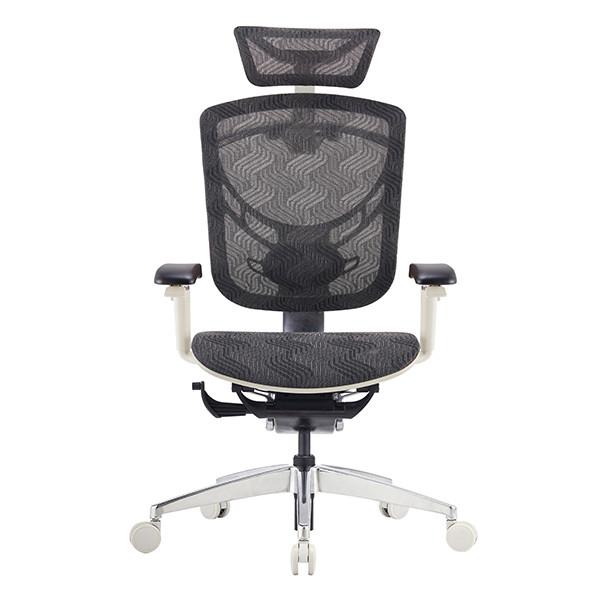 2022 GTCHAIR IVINO X High-end Mesh Swivel Office Chair with Polished Aluminum