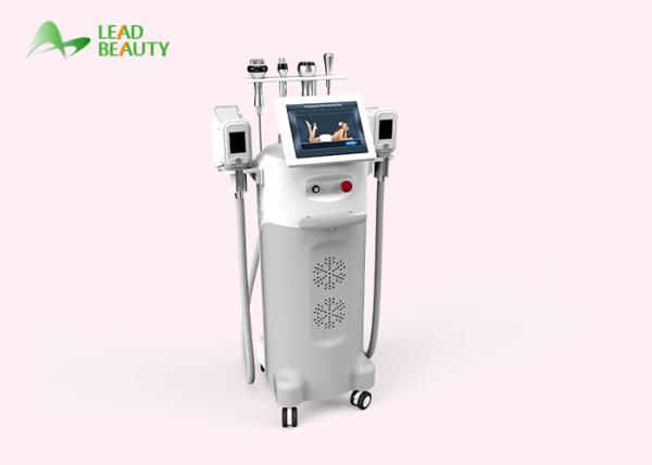 Slim master fat freeze cryolipolysis vacuum fitness machine on sale