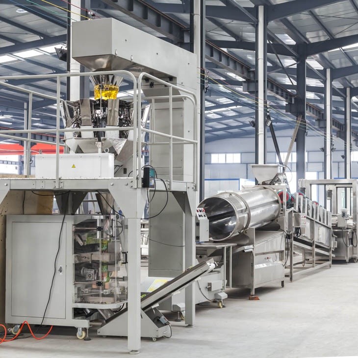 10m*2m*2m French Fries Production Line The Perfect Solution for Your Business