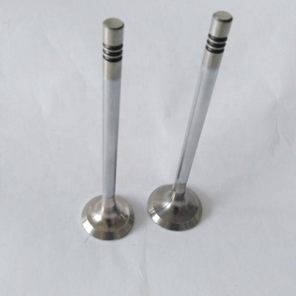 Engine Intake Exhaust Valve 4D0 Race Forged Engine Valves 30604-00100 30604