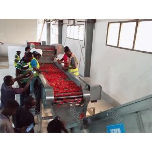 Aseptic Bag Automatic Tomato Paste Processing Equipment 25T/D 380V