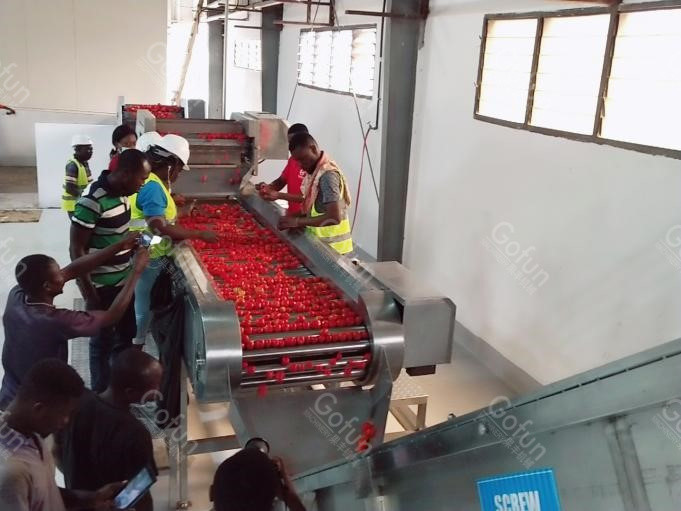 20T/H Automatic Tomato Processing Machine 304 Stainless Steel