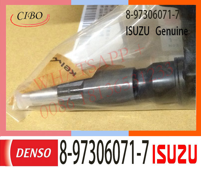 8-97306071-7 ISUZU Fuel Injector 8-97306071-0 4HJ1 4HL1 095000-5000 095000-5012
