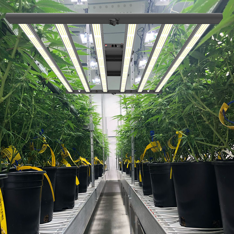 Dimmable Indoor LED Grow Light 520W 2x4 Ft Full Spectrum With UV IR