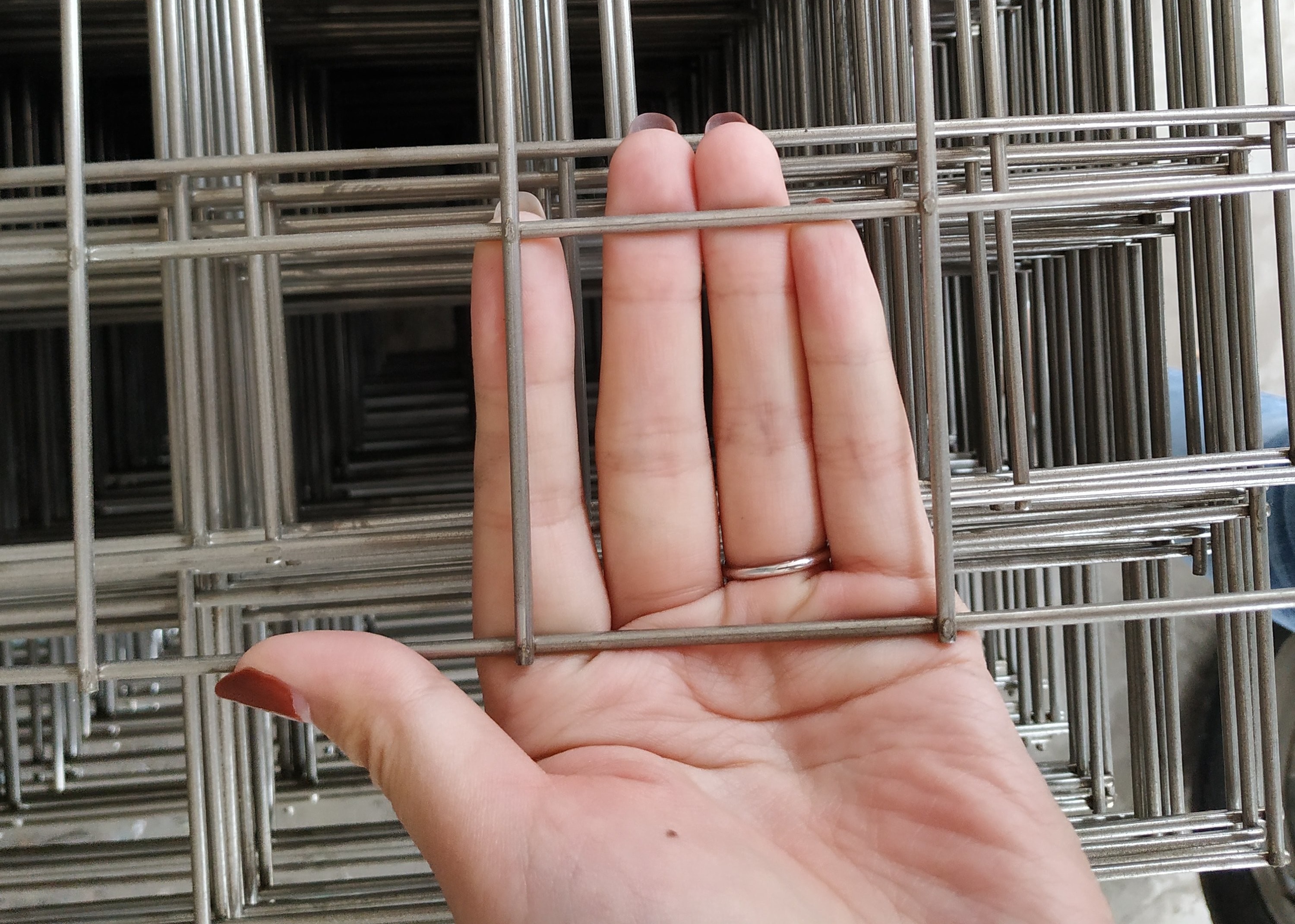Animals Cage 2cm Ss Welded Wire Mesh 30m X 1m