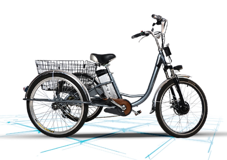 Adult 3 Wheel Electric Tricycle 48V 250W Motor Three Wheel Electric Cargo Bike