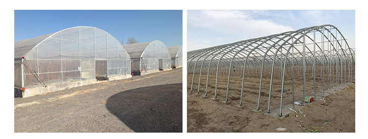 Insulation Agricultural Plastic Film Greenhouse for Single-Span at in 6m 8m 10m Width