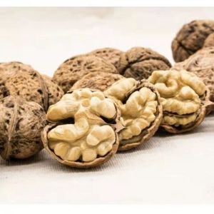  Amazon hot sale Factory Directly Xinjiang walnut xin2 walnut kernel export Russia OEM ODM Manufactures