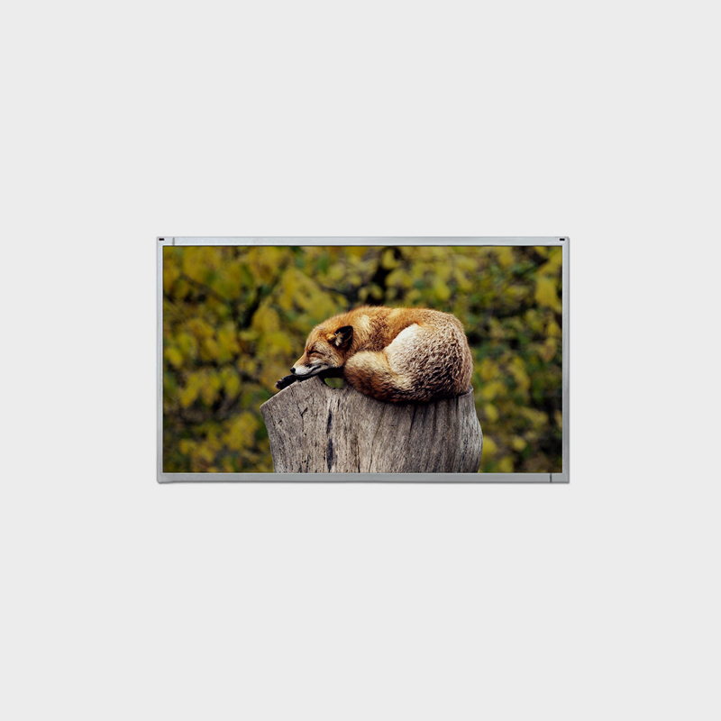  21.5 Inch LCD Display 1920*1080 High Brightness Support 1000nits With LVDS LCMA-RX0215GB16-C100 Manufactures