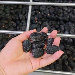  High-capacity Dates Sorting Machine, Stainless Steel, 6 lanes+10 outlets, 1.8 Tons per hour, Advanced Deep Learning Technology Manufactures