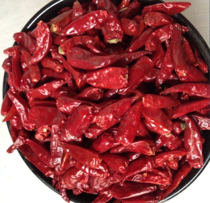 Grade A Dried Red Chili Pods Pungent Xinglong Dried Cayenne Pepper