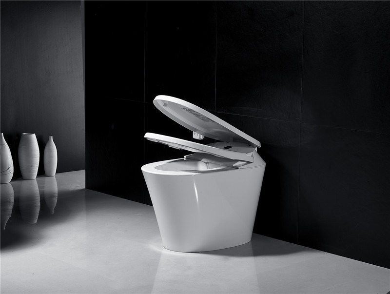 smart toilet20.jpg