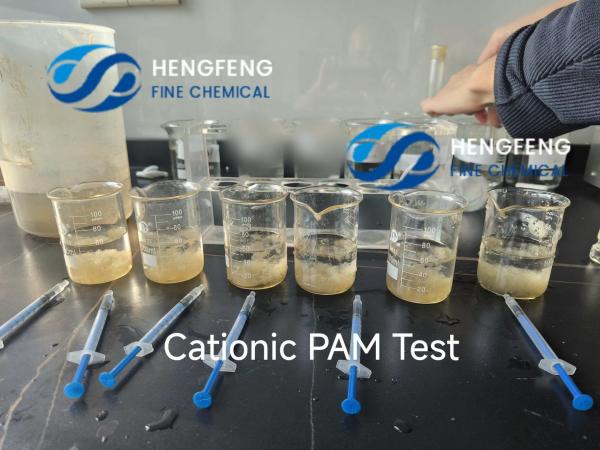 Hengfeng Wastewater Treatment Chemical Cationic Polyacrylamide Dewatering