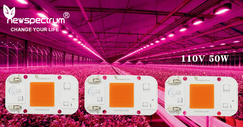110v 50w AC LED Module COB Chip No Welding Lamp Bead Full Spectrum 380nm-840nm