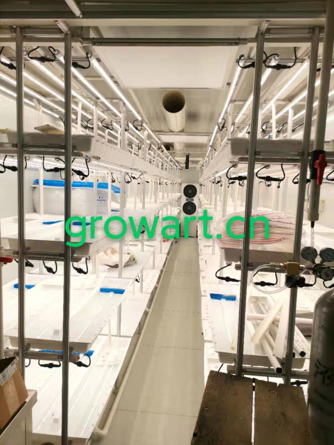 Smart Grow Hydroponic Vertical Farming System Shipping Container Farm Greenhouse
