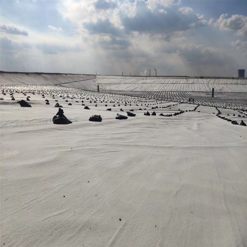 HDPE Composite Geonet Plastic Geocomposite for Drainage and Protection Installations