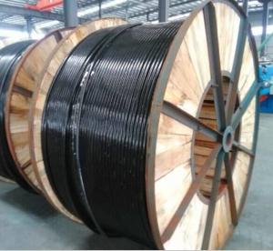  ASTM AAC Conductor ABC Aerial Bundle Aluminium Conductor Cable 2*6AWG 1*6AWG Manufactures