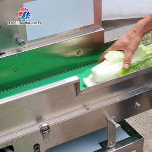 180KG Vegetable and melon slicing and slicing machine One machine multi-purpose