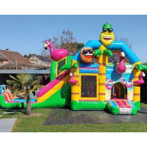 Customized Unicorn Jumping House Inflatable Bouncer Slide