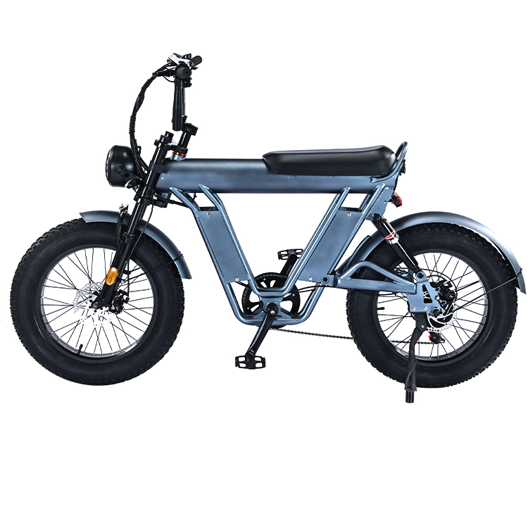 20 Inches Fat Tire Electric Bicycle With 48V Aluminum Alloy Frame And Dual Suspension
