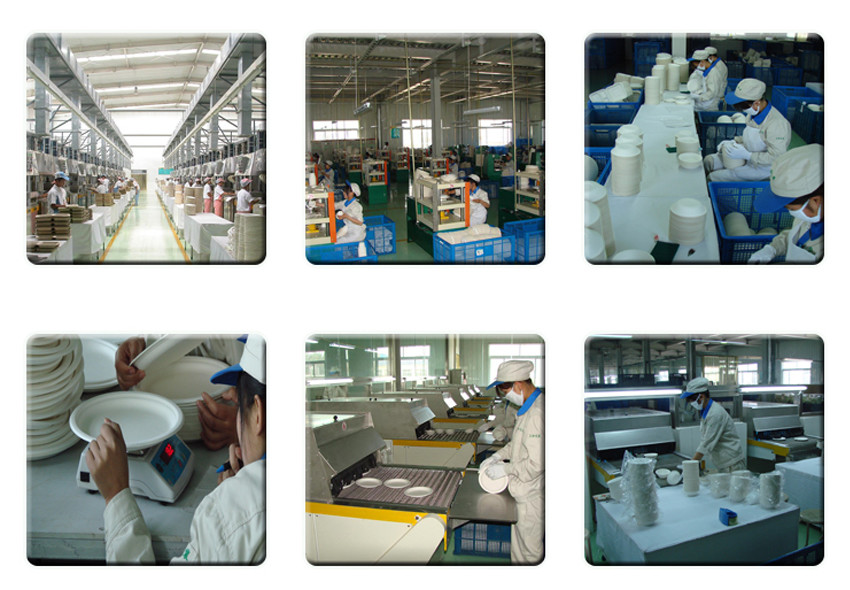 Biodegradable Disposable PP Corn Starch Disposable Food Packaging Containers