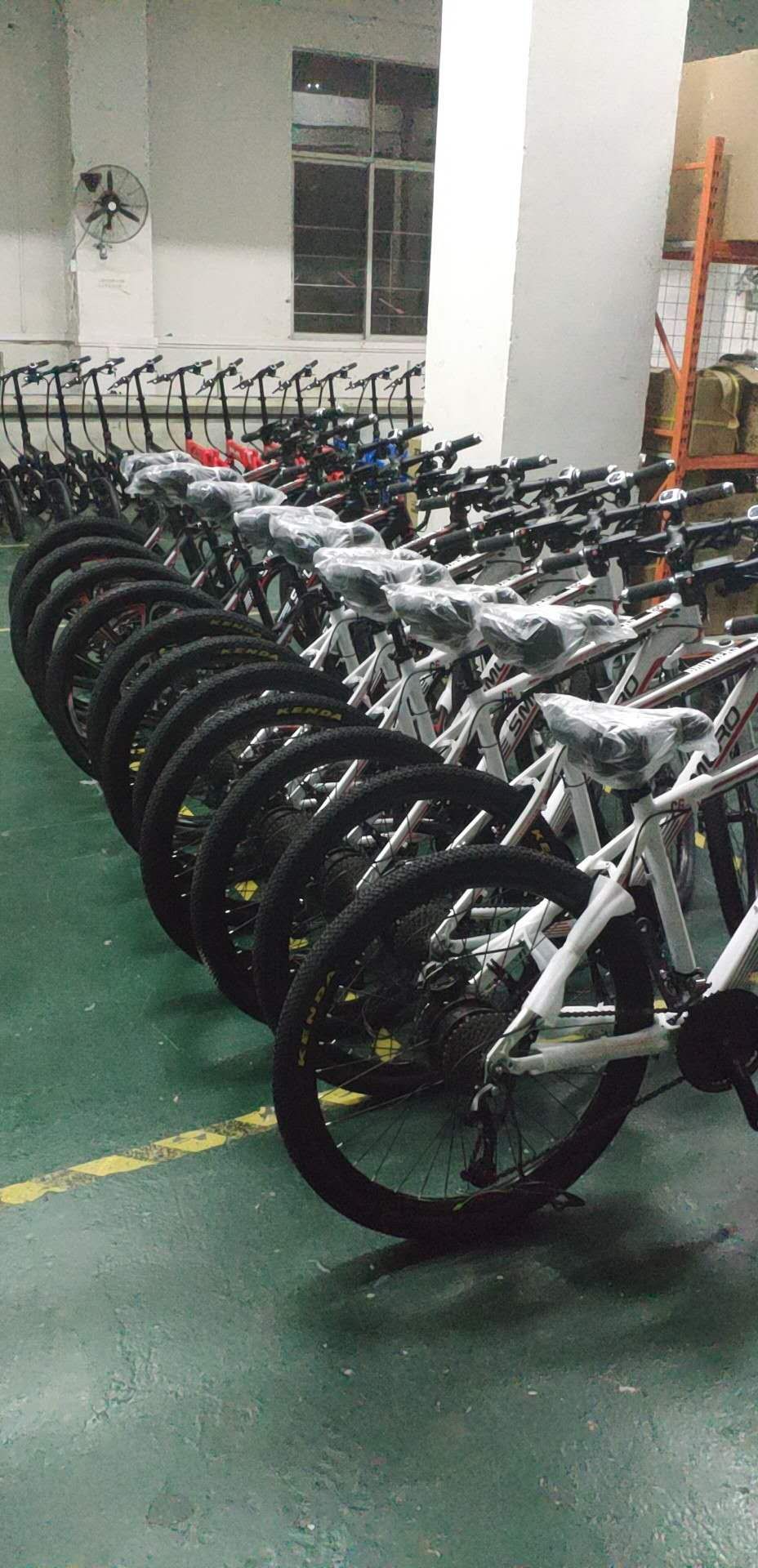 20 Inch 350W Electric Folding Fat Bike CE Certificate Waterproof In Rain