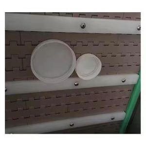 Automatic Linear PET Bottle Capping Machine Plastic Container Lid Sealing