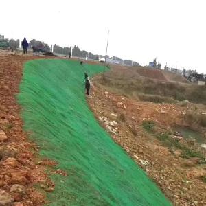  Easy Set Black Green Erosion Control Mat for 3D Geomat on Railway and Mountain Slopes Manufactures