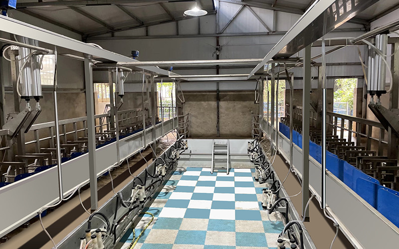 Farms Dairy High Productivity Milking Parlor Equipment Flexible Goat Milking Parlor