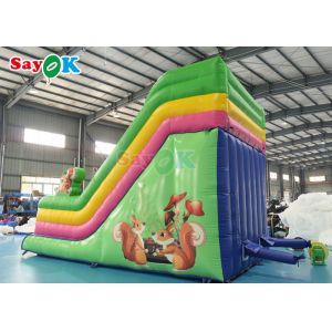 Commercial Grade Inflatable Water Slide Custom Rainbow Inflatable Slide