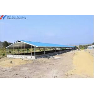 Prefabricated Steel Structure Chicken Farm House for Poultry Breeding