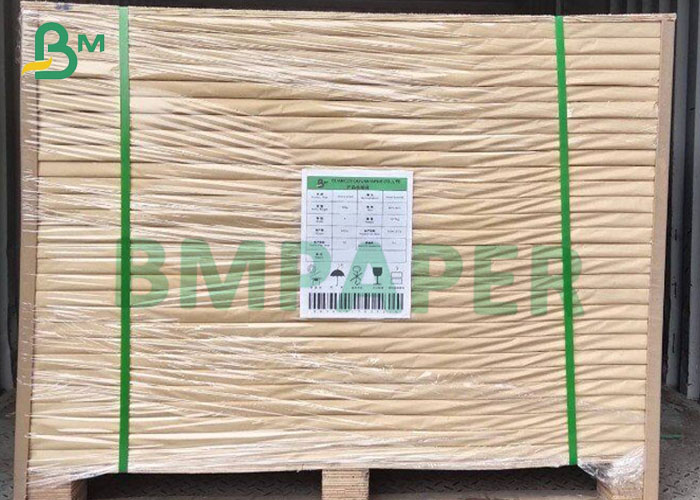 Tyvek Printing Paper
