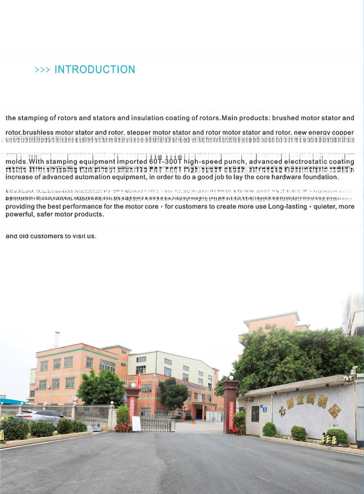 Serve Drawing Customization Motor with Silicon Steel Composites Stator and Rotor