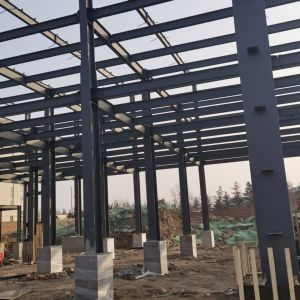 Large Span Light Steel Structure Building Workshop with Crane Beam