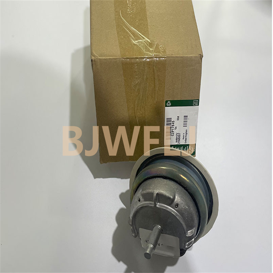 Freelander 2 Evoque Jaguar Land Rover Engine Parts LR025601 LR047384 2.0l Petrol Brake Vacuum Pump