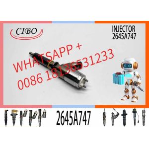 Factory Direct Supply Common Rail 320D injector 2645A747 10R-7939 3200680 for C6