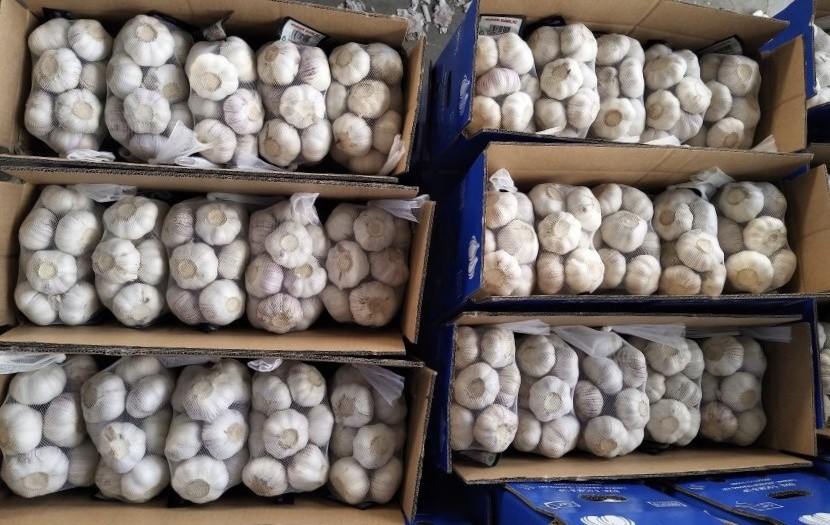 Natural China Fresh garlic Pure White normal white garlic