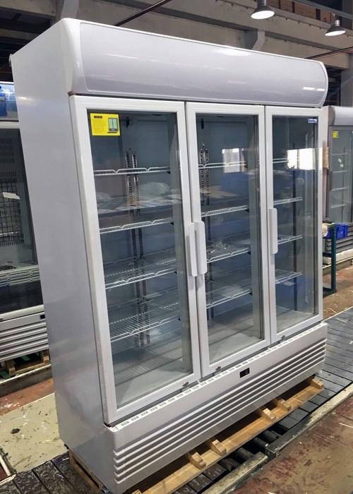Supermarket Reach In Upright Glass Door Freezer Merchandiser With LED Canopy