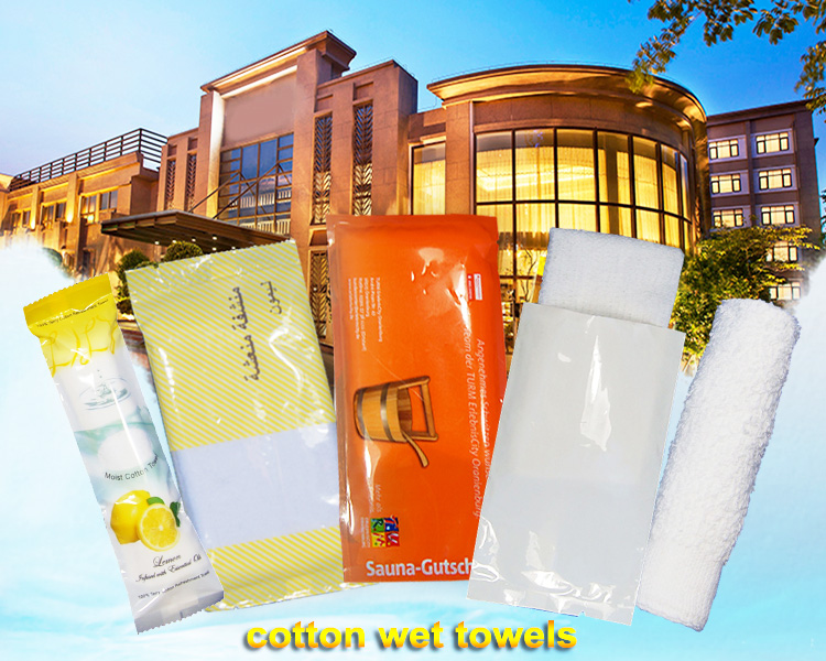 Individual Disposable Heated Antibacterial Wet Wipes